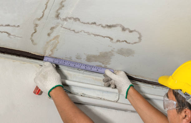 Affordable Ceiling Water Damage Repair solutions in Lacombe, LA